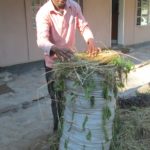 agriculture – sack garden compressed